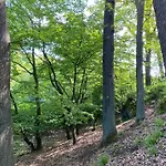 公寓 Glamping Machuv Kraj *