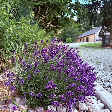 Glamping Machuv Kraj Apartamento Doksy (Liberec)