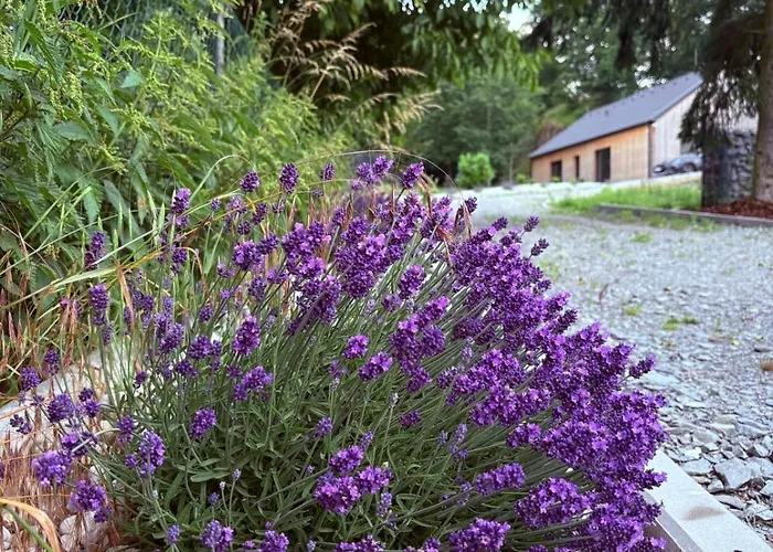 Glamping Machuv Kraj Apartment Doksy (Liberec)